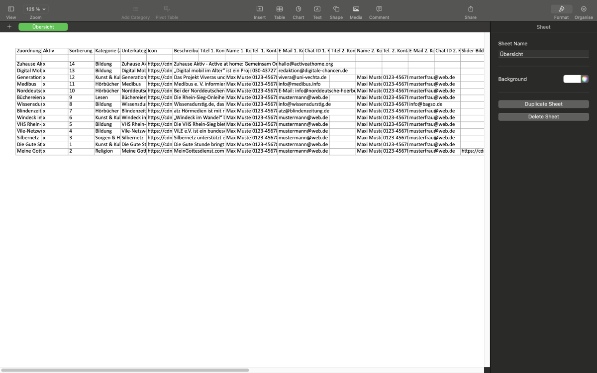 Beispielansicht einer exportierten Excel-Vorlage