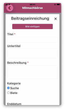 Beispielansicht des Formulars zum Beitragseinreichen