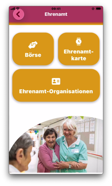 Datei:Ehrenamt.png